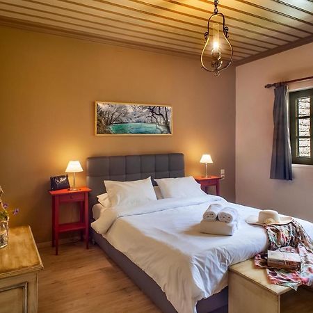 Zissis Hotel Aristi Dış mekan fotoğraf