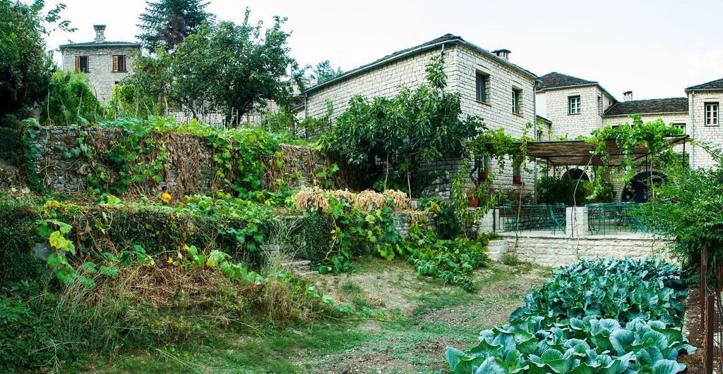 Zissis Hotel Aristi Dış mekan fotoğraf